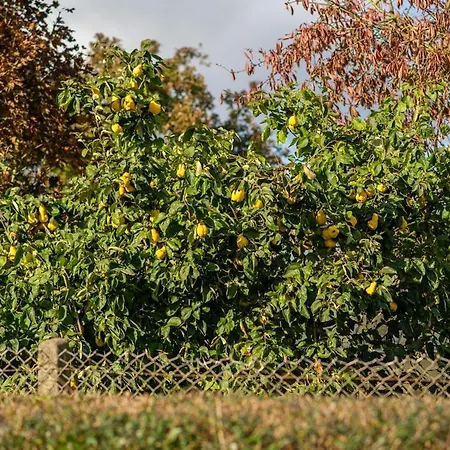 Dorfhaus Techin 아파트 Niederdorla