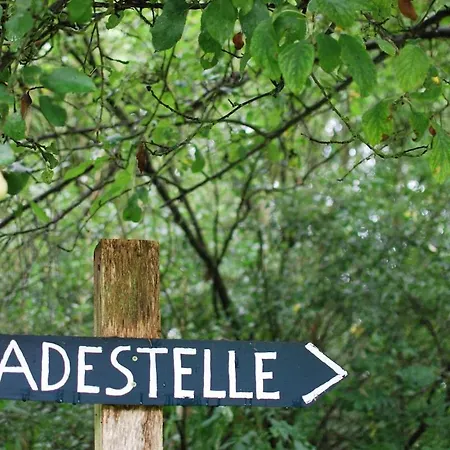 Dorfhaus Techin 아파트 *