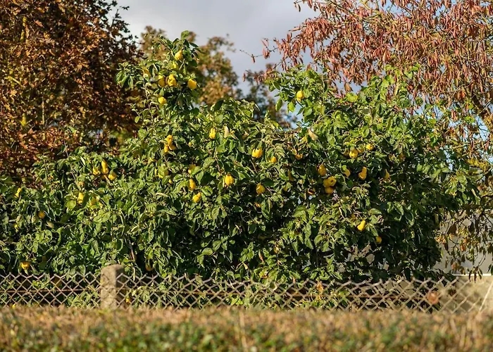 Dorfhaus Techin 아파트 Niederdorla
