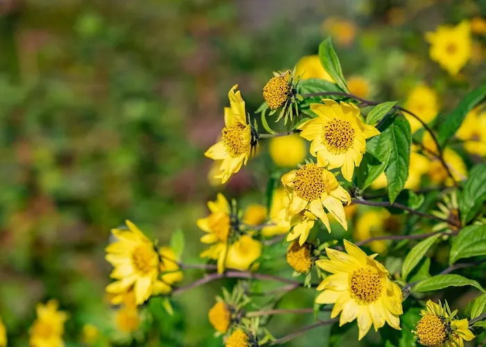 Dorfhaus Techin * Niederdorla